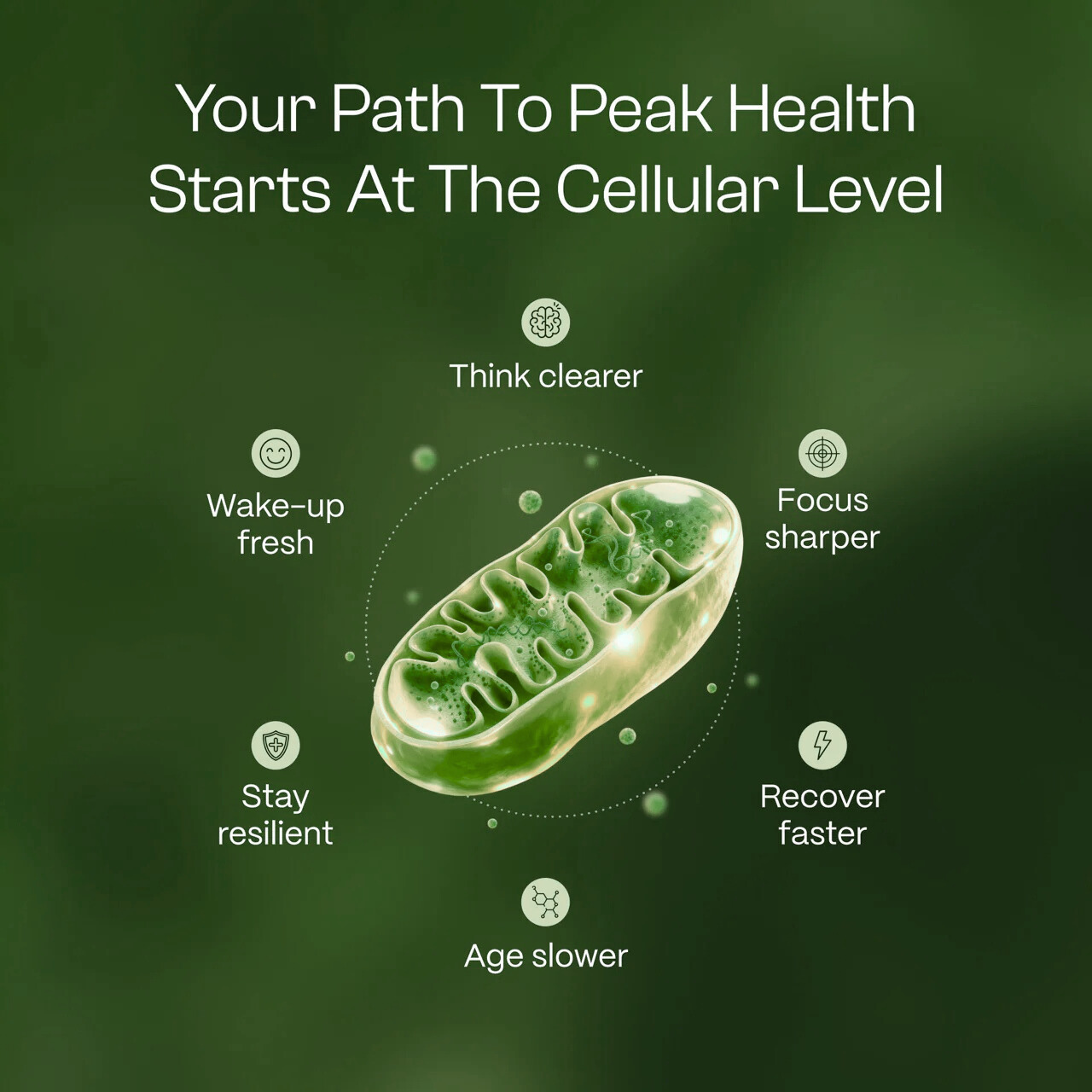 Healthier™: Soursop Stem Cells Drops