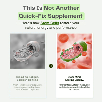 Healthier™: Soursop Stem Cells Drops