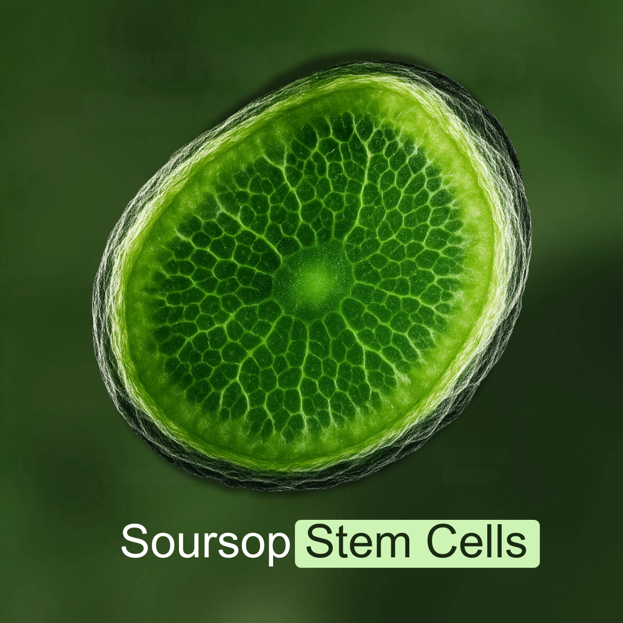 Healthier™: Soursop Stem Cells Drops